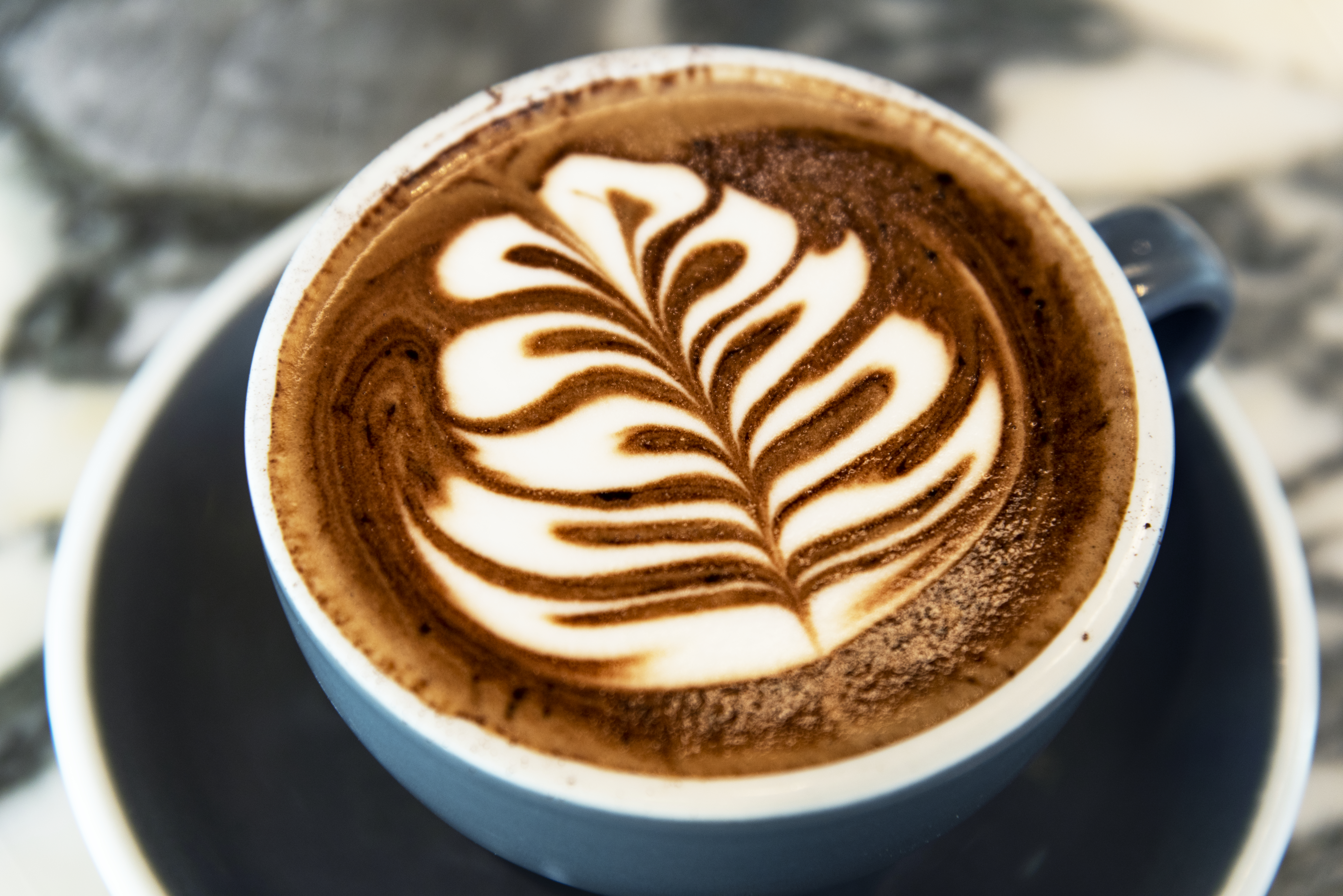 cappuccino-coffee-with-tree-latte-art